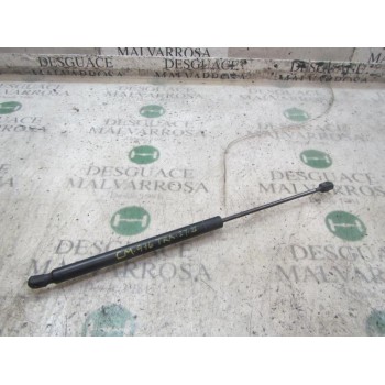 AMORTIGUADORES MALETERO / PORTON 