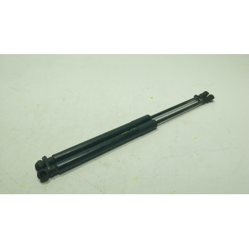 AMORTIGUADORES MALETERO / PORTON 689500D210 7743870490N 689600D170