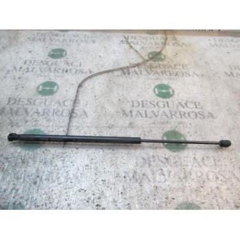 AMORTIGUADORES MALETERO / PORTON 