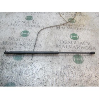 AMORTIGUADORES MALETERO / PORTON 