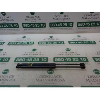 AMORTIGUADORES MALETERO / PORTON 