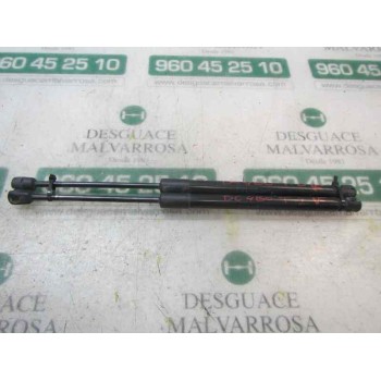 AMORTIGUADORES MALETERO / PORTON 904510001R 