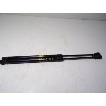 AMORTIGUADORES MALETERO / PORTON 844301324R 