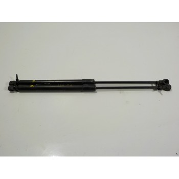 AMORTIGUADORES MALETERO / PORTON 904529943R 