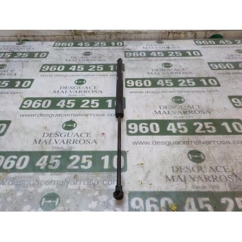 AMORTIGUADORES MALETERO / PORTON 