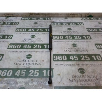 AMORTIGUADORES MALETERO / PORTON 