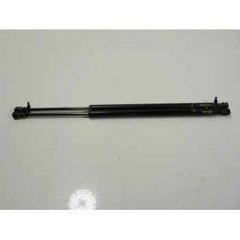 AMORTIGUADORES MALETERO / PORTON 19E10C2 