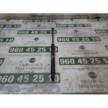 AMORTIGUADORES MALETERO / PORTON 