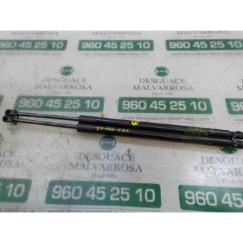 AMORTIGUADORES MALETERO / PORTON 689500R060 