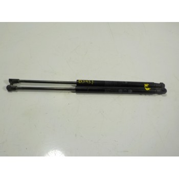 AMORTIGUADORES MALETERO / PORTON 51841634 2277660420N 