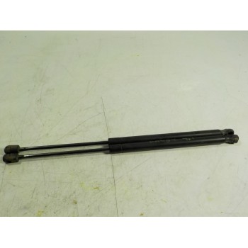 AMORTIGUADORES MALETERO / PORTON 5160017AA 