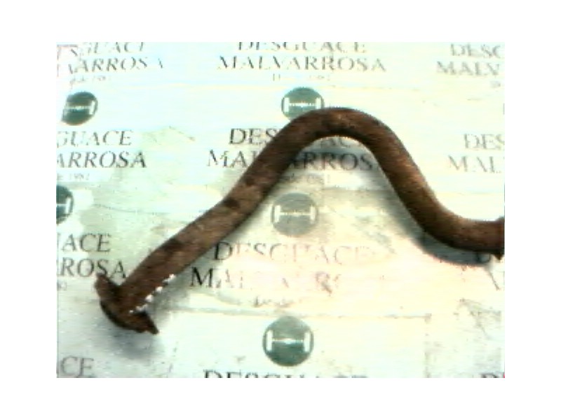 Recambio de salida colector para renault 19 hatchback (b/c53) 1.9 diesel referencia OEM IAM   