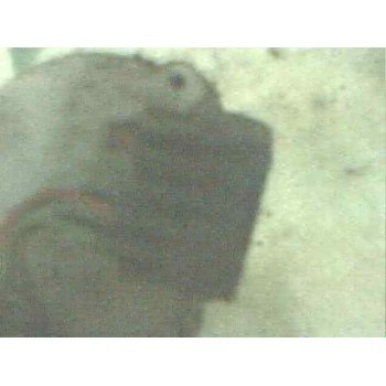 MOTOR LIMPIA DELANTERO 