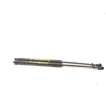 AMORTIGUADORES MALETERO / PORTON 1609616580 