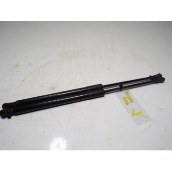 AMORTIGUADORES MALETERO / PORTON 6896002160 6896002160 6896002160