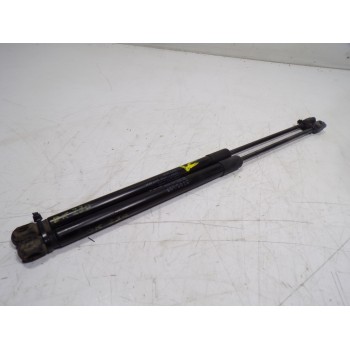 AMORTIGUADORES MALETERO / PORTON 8731V8 9687319580 016764F30475N