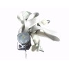 Recambio de cinturon seguridad trasero derecho para ssangyong rodius 2.2 td cat referencia OEM IAM   