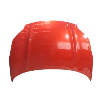 CAPOT DELANTERO 66400F1000 