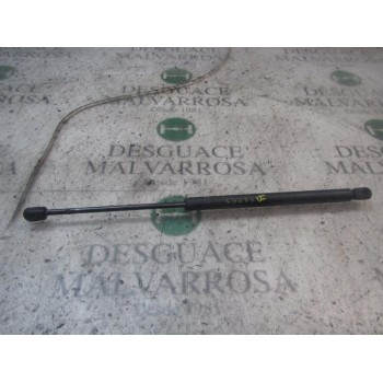 AMORTIGUADORES MALETERO / PORTON 