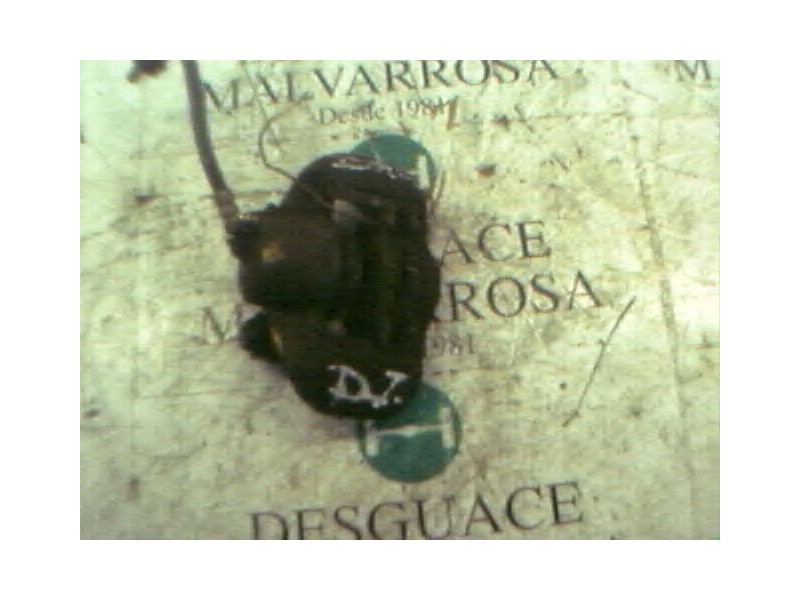 Recambio de pinza freno delantera izquierda para renault 5 (b/c40) 1.4 referencia OEM IAM   