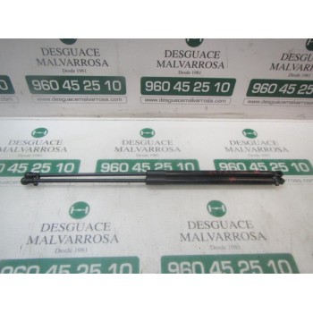 AMORTIGUADORES MALETERO / PORTON 6895002190 