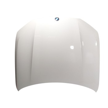 CAPOT DELANTERO 41007492375 