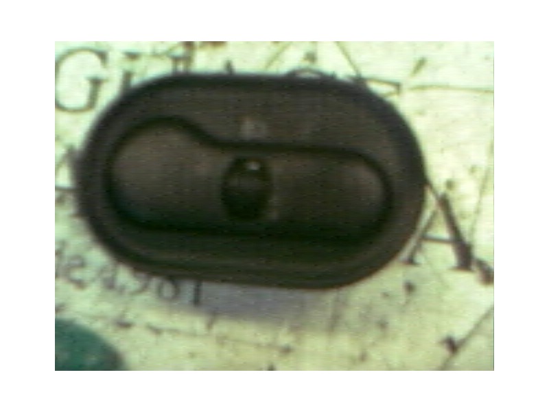 Recambio de modulo electronico para daewoo lanos sx referencia OEM IAM   