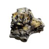 Recambio de caja cambios para nissan qashqai (j10) 1.6 dci turbodiesel cat referencia OEM IAM 32010BB60D  