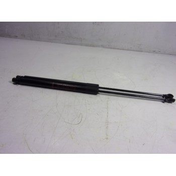 AMORTIGUADORES MALETERO / PORTON 68950F4052 