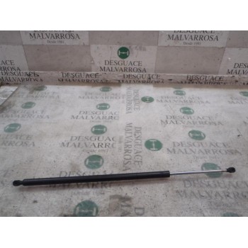 AMORTIGUADORES MALETERO / PORTON 