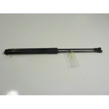 AMORTIGUADOR CAPOT 534400W200 534400W200 0267900200N