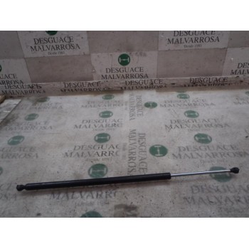 AMORTIGUADORES MALETERO / PORTON 