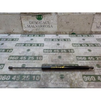 AMORTIGUADORES MALETERO / PORTON 2460364 