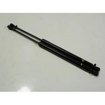 AMORTIGUADORES MALETERO / PORTON 844308661R 844308661R 