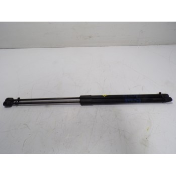 AMORTIGUADORES MALETERO / PORTON 13428038 7337550260N 315005777