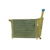 Recambio de radiador agua para fiat 500 (312_) 1.2 (312axa1a) referencia OEM IAM 51934449 518344490 