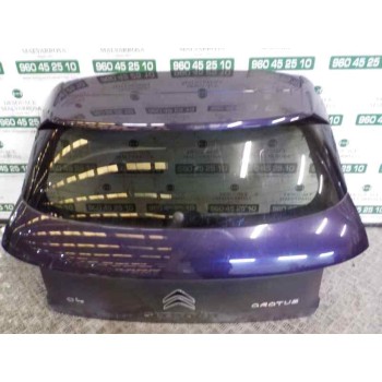 PORTON TRASERO 9800805380 