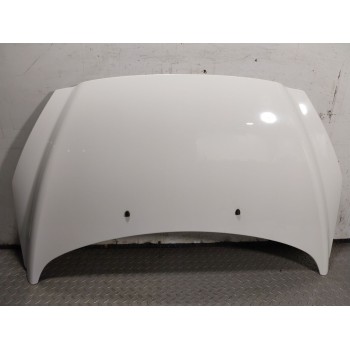 CAPOT DELANTERO 7901P6 