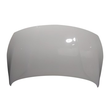 CAPOT DELANTERO 39054067 