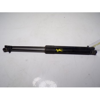 AMORTIGUADORES MALETERO / PORTON 904516026R 