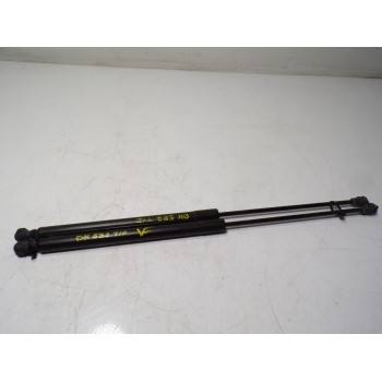 AMORTIGUADORES MALETERO / PORTON 904527457R 904527457R 