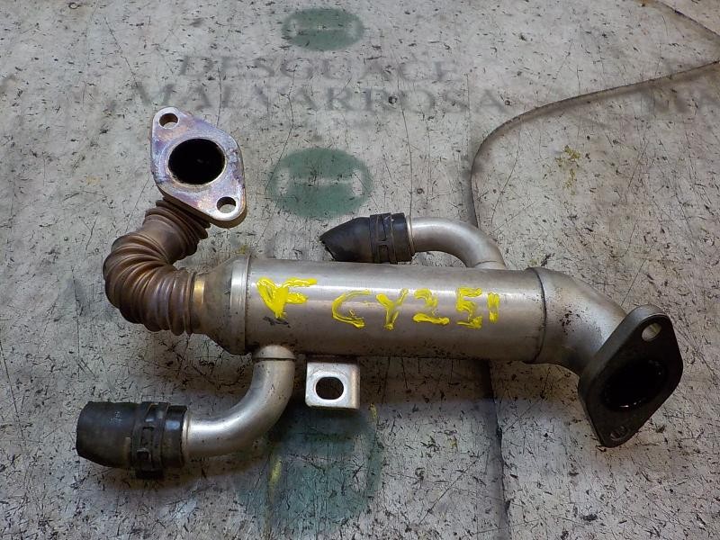 Recambio de enfriador egr para volkswagen polo (9n3) 1.4 tdi referencia OEM IAM   