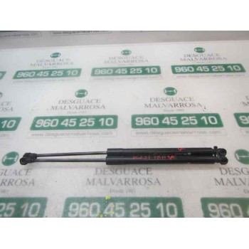AMORTIGUADORES MALETERO / PORTON 