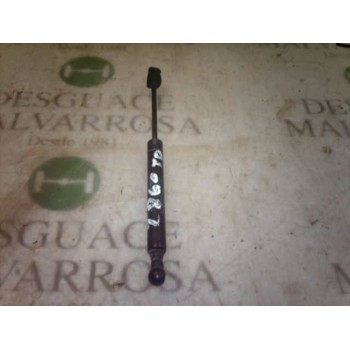 AMORTIGUADORES MALETERO / PORTON 