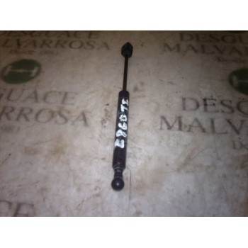 AMORTIGUADORES MALETERO / PORTON 