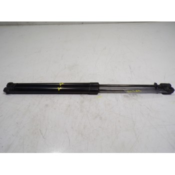 AMORTIGUADORES MALETERO / PORTON 904508959R 904508959R 