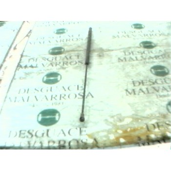 AMORTIGUADORES MALETERO / PORTON 