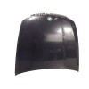 Recambio de capot delantero para bmw x6 (e71, e72) xdrive 40 d referencia OEM IAM 41617486754  