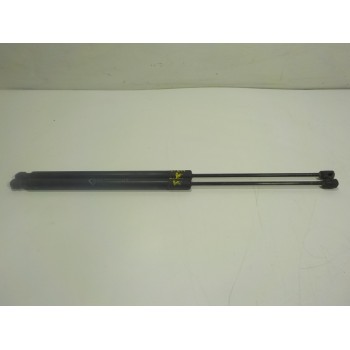 AMORTIGUADORES MALETERO / PORTON 52063437 4120620340 