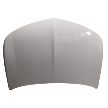 CAPOT DELANTERO 9840369480 